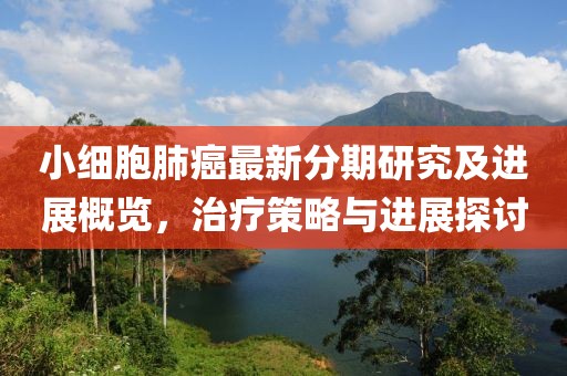 小细胞肺癌最新分期研究及进展概览，治疗策略与进展探讨