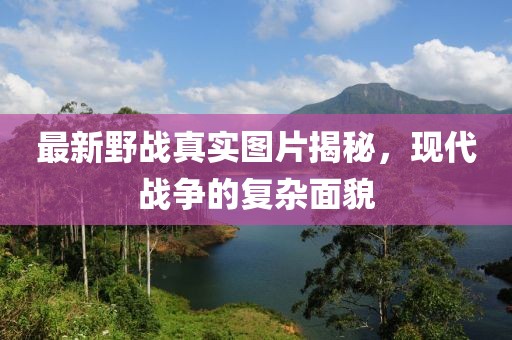 景明 第5页