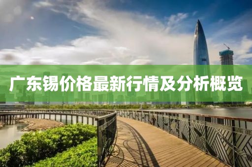 广东锡价格最新行情及分析概览