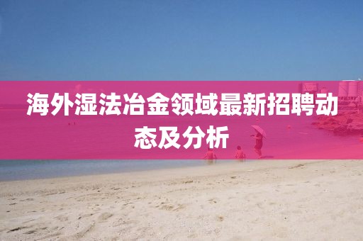 海外湿法冶金领域最新招聘动态及分析