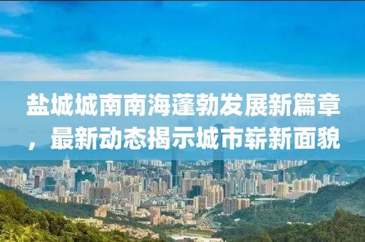 盐城城南南海蓬勃发展新篇章，最新动态揭示城市崭新面貌
