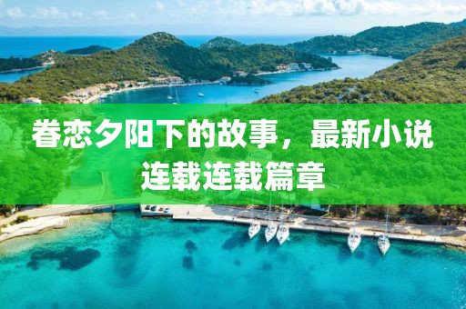 眷恋夕阳下的故事，最新小说连载连载篇章
