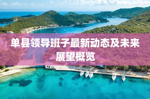 单县领导班子最新动态及未来展望概览