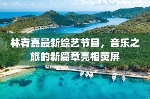 林宥嘉最新综艺节目，音乐之旅的新篇章亮相荧屏