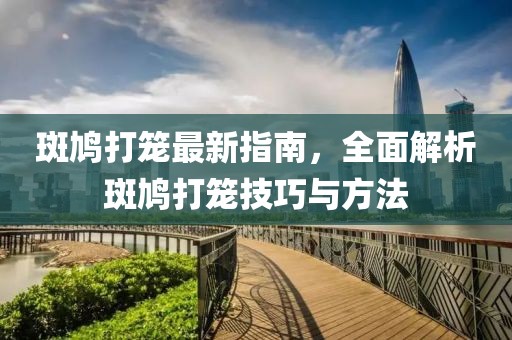 斑鸠打笼最新指南，全面解析斑鸠打笼技巧与方法