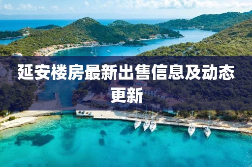 延安楼房最新出售信息及动态更新