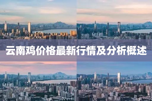 云南鸡价格最新行情及分析概述