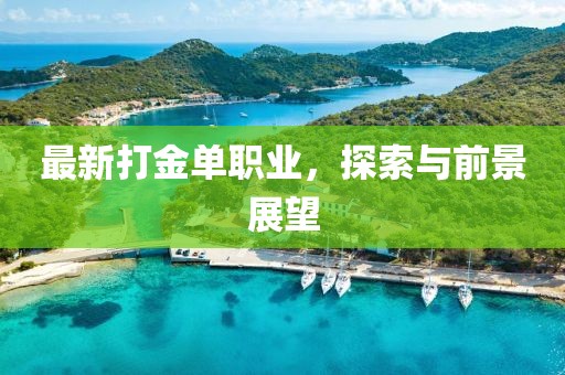 最新打金单职业，探索与前景展望
