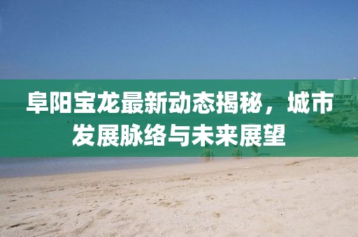 阜阳宝龙最新动态揭秘，城市发展脉络与未来展望