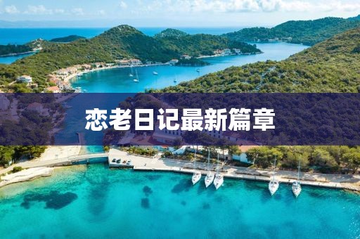 恋老日记最新篇章