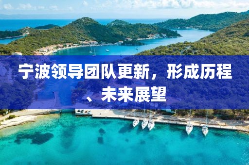 宁波领导团队更新，形成历程、未来展望