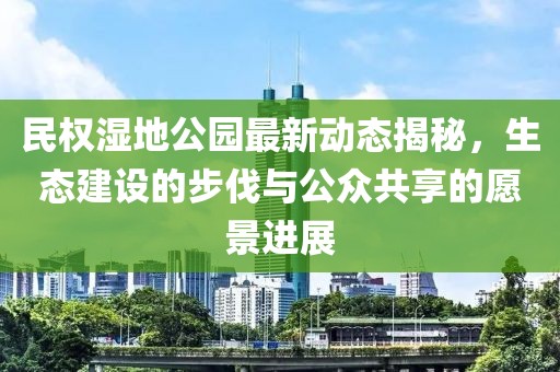 民权湿地公园最新动态揭秘，生态建设的步伐与公众共享的愿景进展