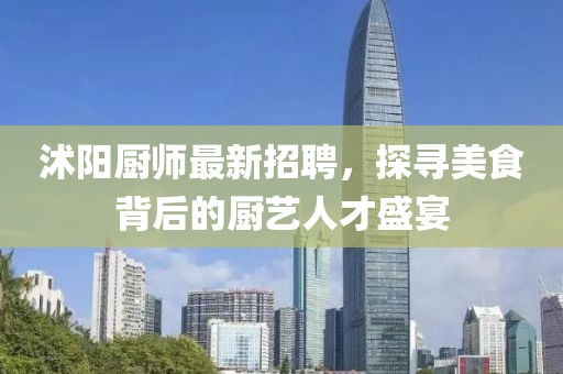 沭阳厨师最新招聘，探寻美食背后的厨艺人才盛宴