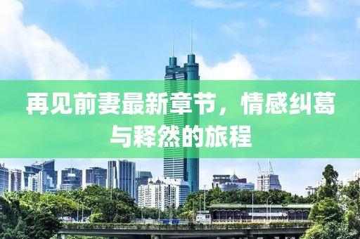再见前妻最新章节，情感纠葛与释然的旅程