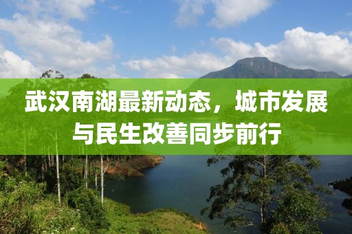 武汉南湖最新动态，城市发展与民生改善同步前行