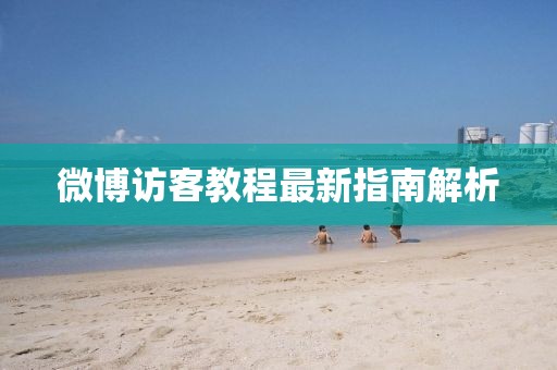 微博访客教程最新指南解析