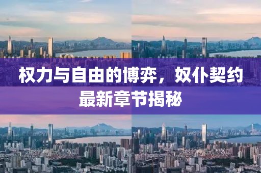 权力与自由的博弈，奴仆契约最新章节揭秘