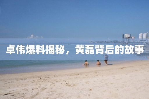 卓伟爆料揭秘，黄磊背后的故事