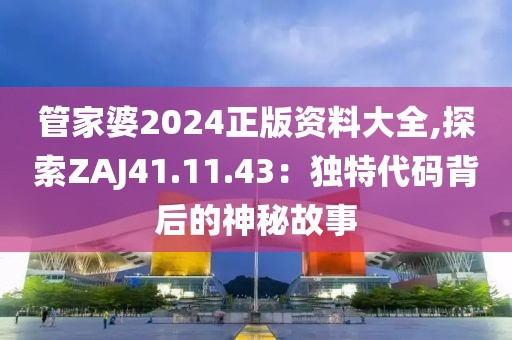 管家婆2024正版资料大全,探索ZAJ41.11.43：独特代码背后的神秘故事