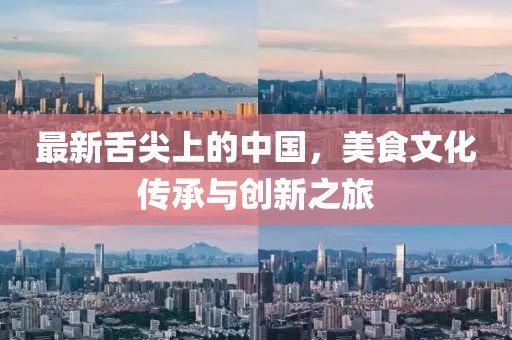 最新舌尖上的中国，美食文化传承与创新之旅