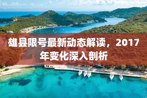 雄县限号最新动态解读，2017年变化深入剖析