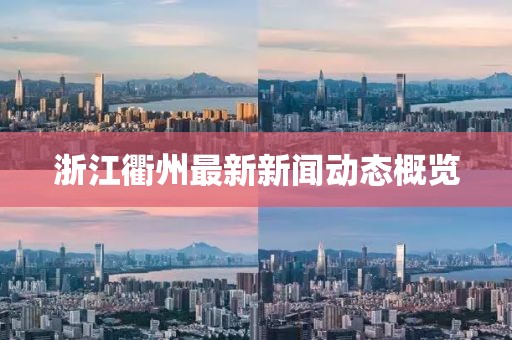 浙江衢州最新新闻动态概览