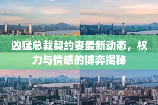 凶猛总裁契约妻最新动态，权力与情感的博弈揭秘