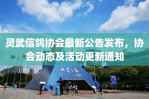 灵武信鸽协会最新公告发布，协会动态及活动更新通知