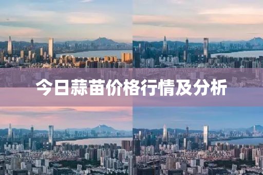 今日蒜苗价格行情及分析
