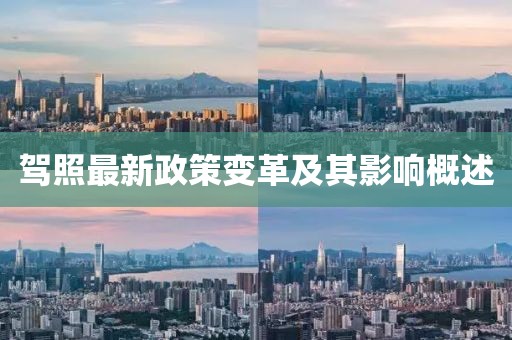 驾照最新政策变革及其影响概述
