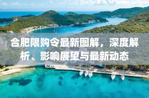合肥限购令最新图解，深度解析、影响展望与最新动态