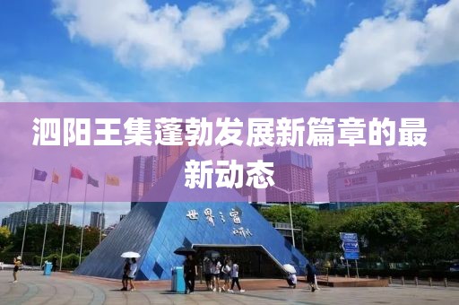 泗阳王集蓬勃发展新篇章的最新动态