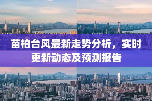 苗柏台风最新走势分析，实时更新动态及预测报告