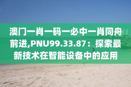 澳门一肖一码一必中一肖同舟前进,PNU99.33.87：探索最新技术在智能设备中的应用