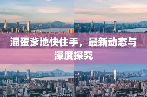 混蛋爹地快住手，最新动态与深度探究