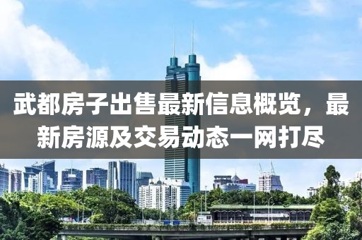 武都房子出售最新信息概览，最新房源及交易动态一网打尽
