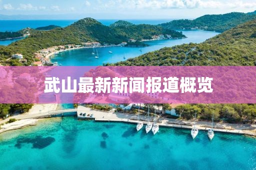 武山最新新闻报道概览