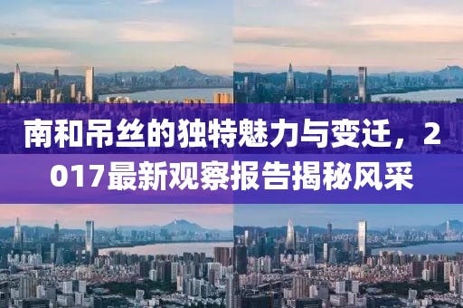 南和吊丝的独特魅力与变迁，2017最新观察报告揭秘风采