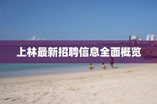 上林最新招聘信息全面概览
