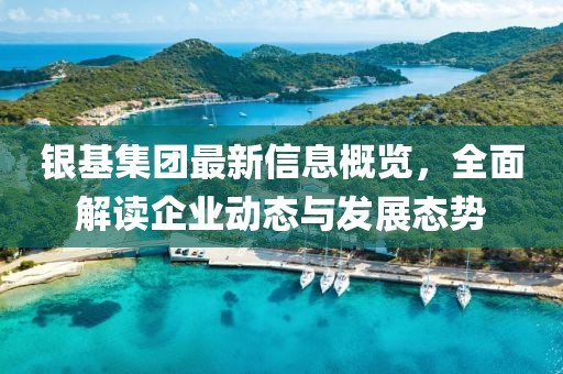 银基集团最新信息概览，全面解读企业动态与发展态势