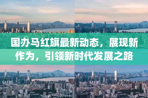 国办马红旗最新动态，展现新作为，引领新时代发展之路