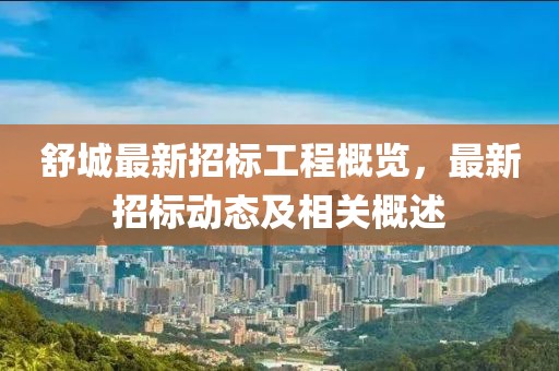 舒城最新招标工程概览，最新招标动态及相关概述