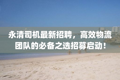 永清司机最新招聘，高效物流团队的必备之选招募启动！