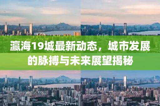 瀛海19城最新动态，城市发展的脉搏与未来展望揭秘