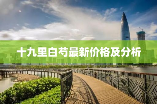 十九里白芍最新价格及分析