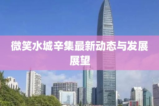 微笑水城辛集最新动态与发展展望