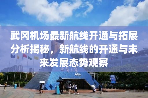 武冈机场最新航线开通与拓展分析揭秘，新航线的开通与未来发展态势观察