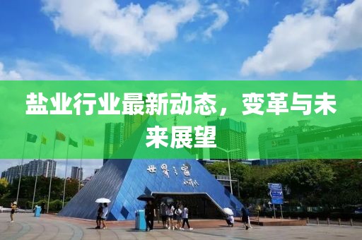 盐业行业最新动态，变革与未来展望