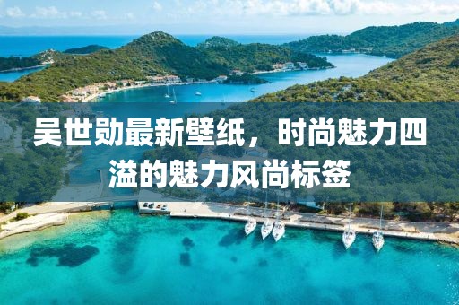 西柚 第5页