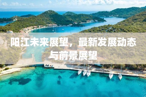 阳江未来展望，最新发展动态与前景展望